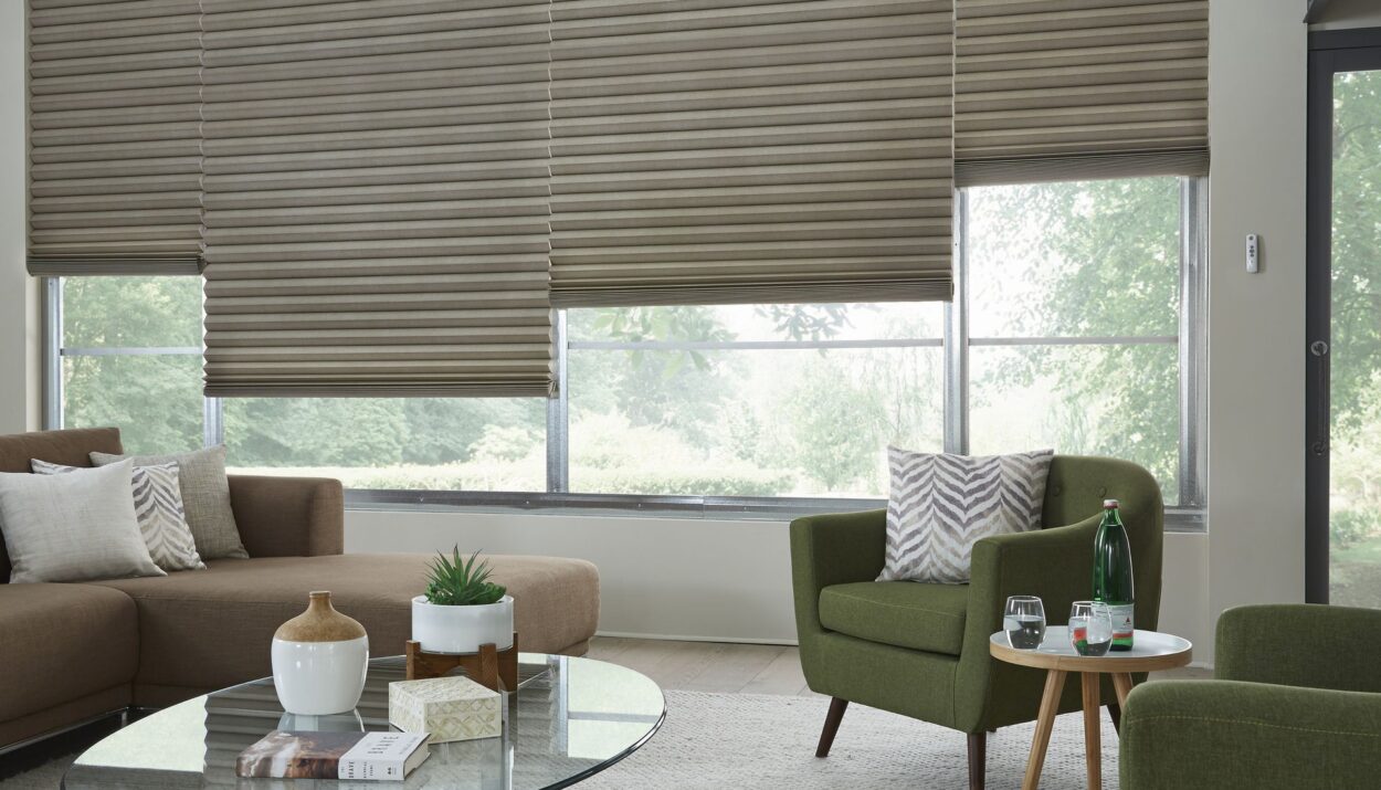 Smart Blinds