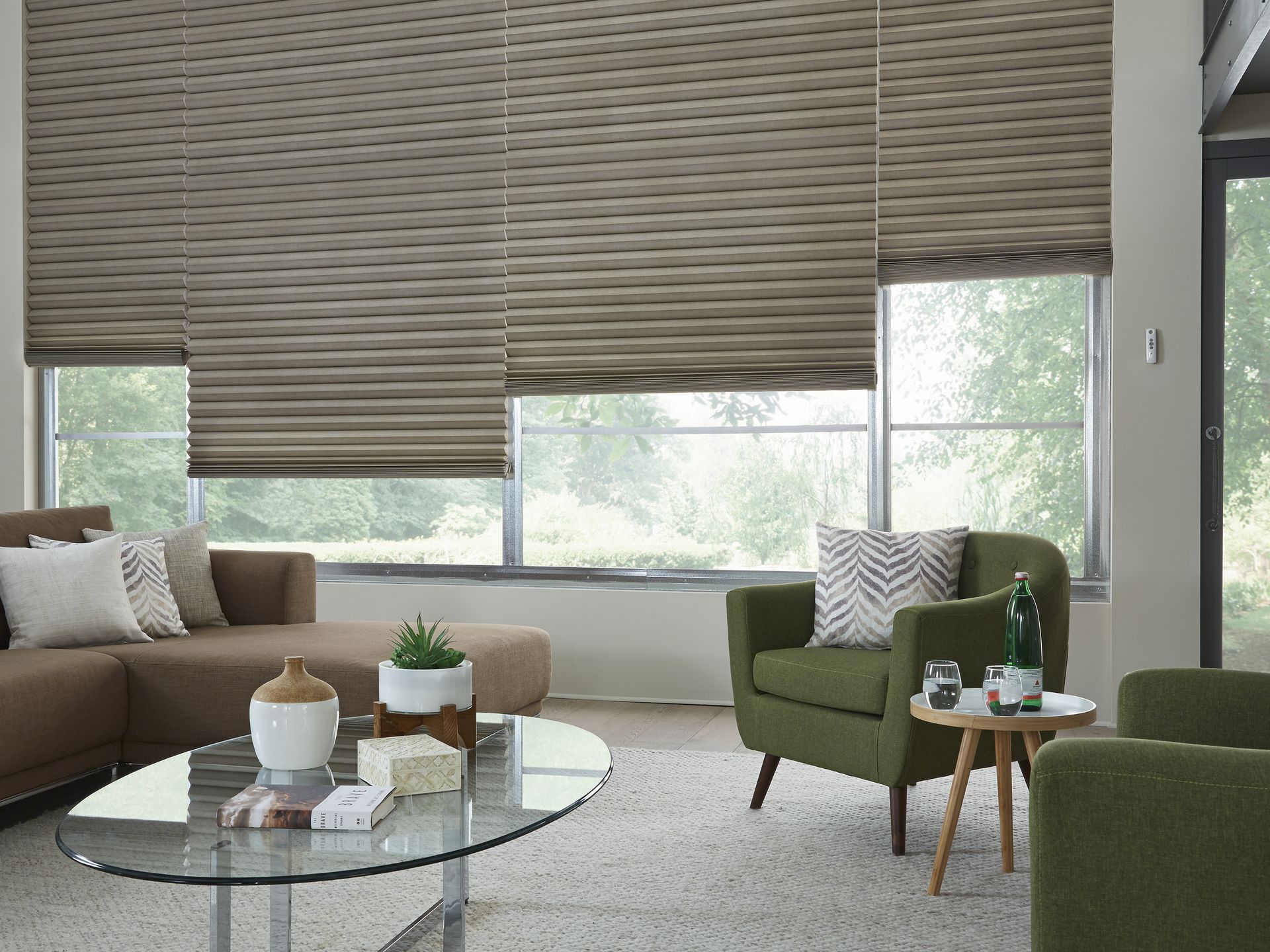 Smart Blinds